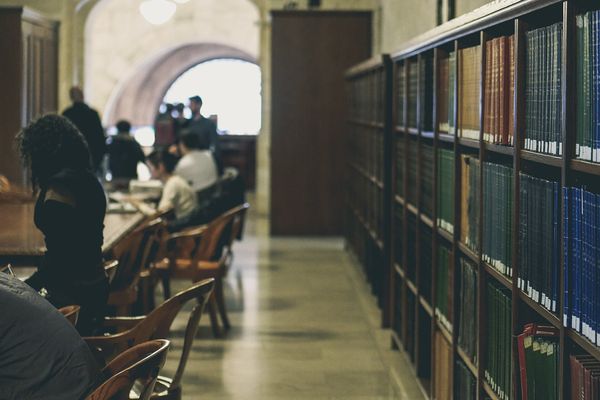 Rows of books on library shelves